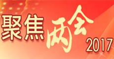 2017年两会