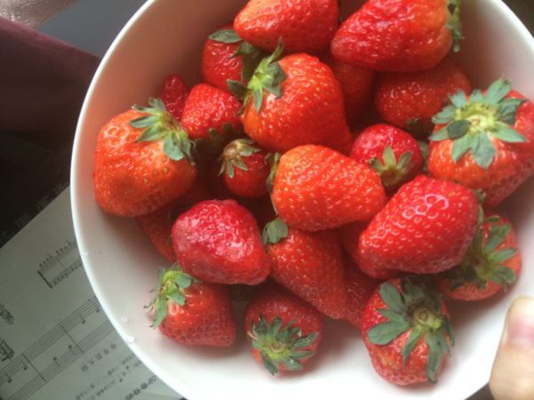 惊恐！澳大利亚频发“草莓藏针”官方建议：切碎再吃