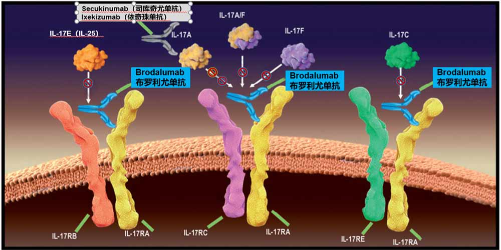 图片包含 蛋糕, 室内, 桌子, 照片描述已自动生成