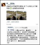 上海野生动物园一工作人员遭熊攻击死亡，猛兽区已暂停开放