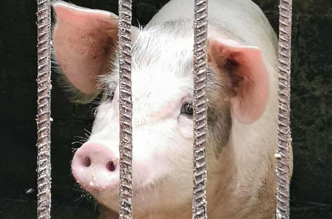 \