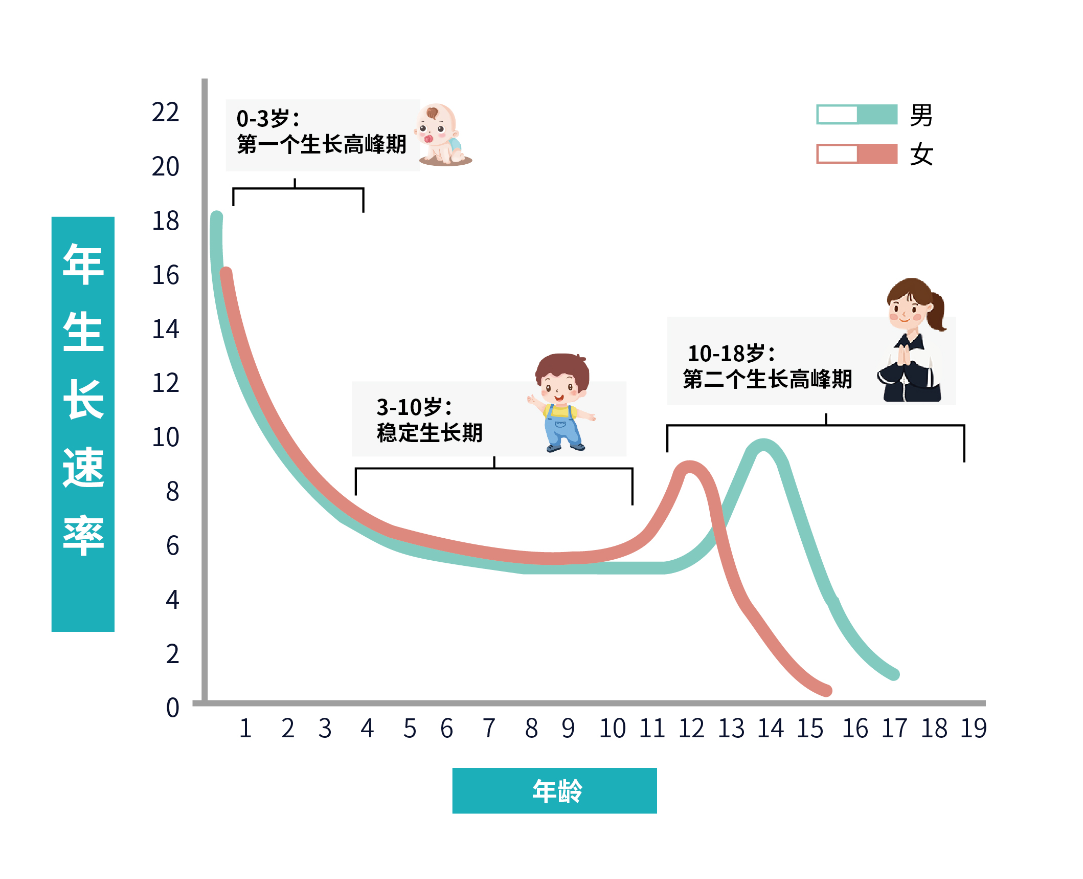 人从小到大成长过程图-图库-五毛网