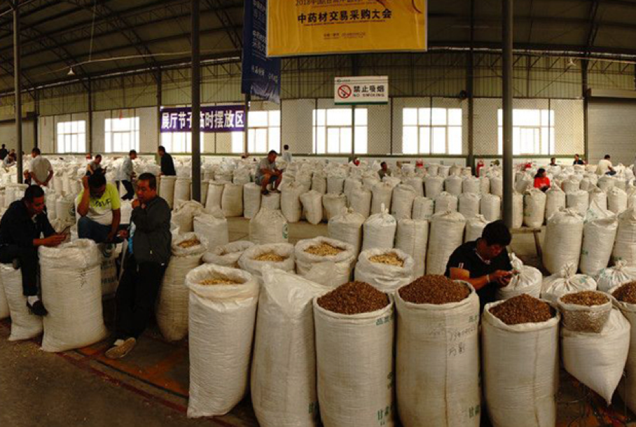 年加工销售额近百亿元!这个县是全国中药材市场的"晴雨表"