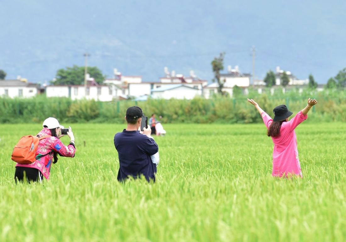 全国多个省区市发文暂停跨省旅游业务！