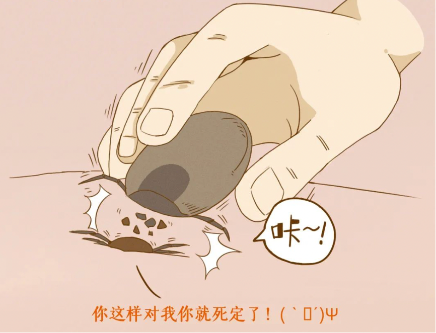 徽标中度可信度描述已自动生成